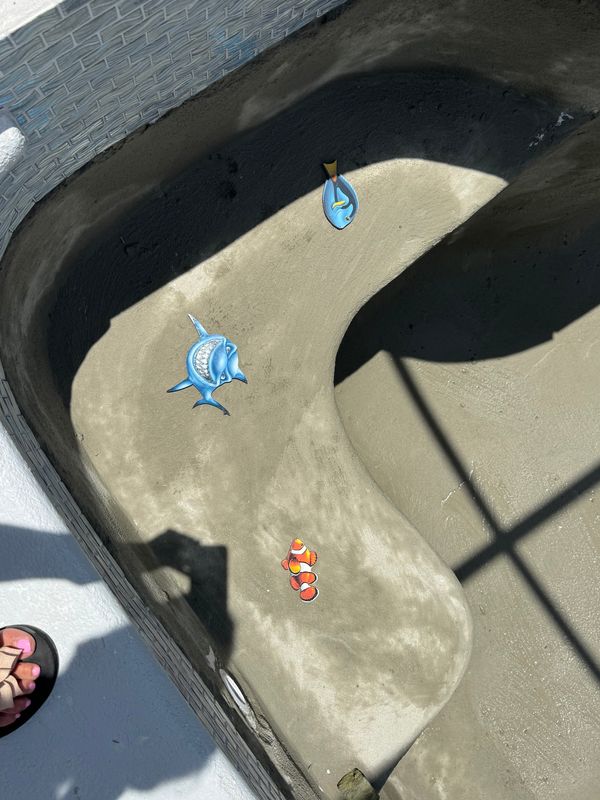 Pool Renovation