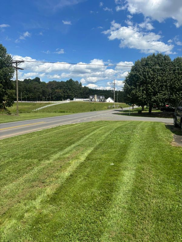 Lawn Maintenance