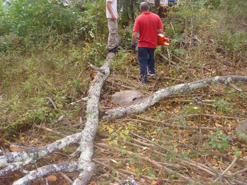 Fall Cleanups