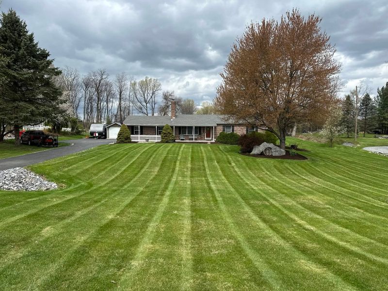 Lawn Maintenance