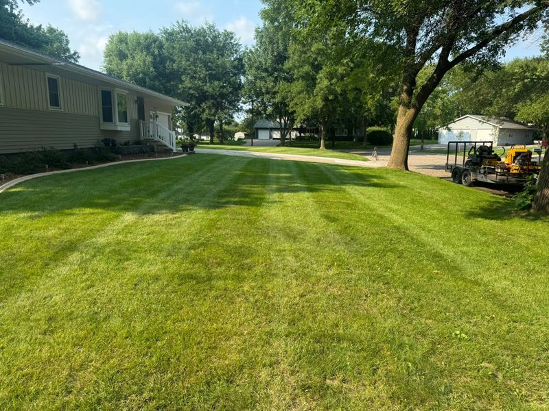 Lawn Maintenance