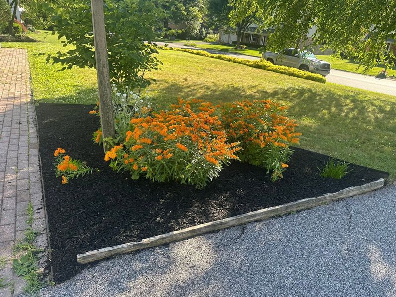 Landscape Design