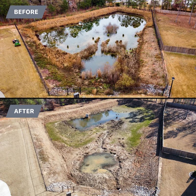 Before and After