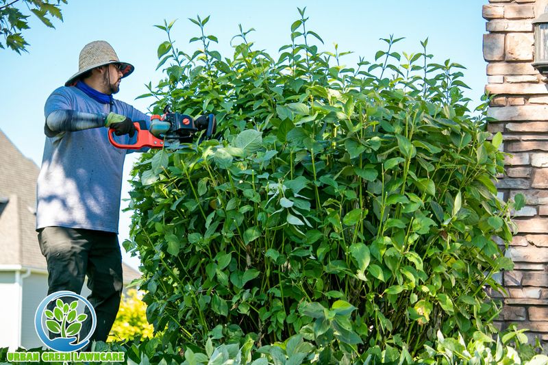 Shrub Trimming