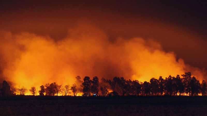 Fire Mitigation and Burning