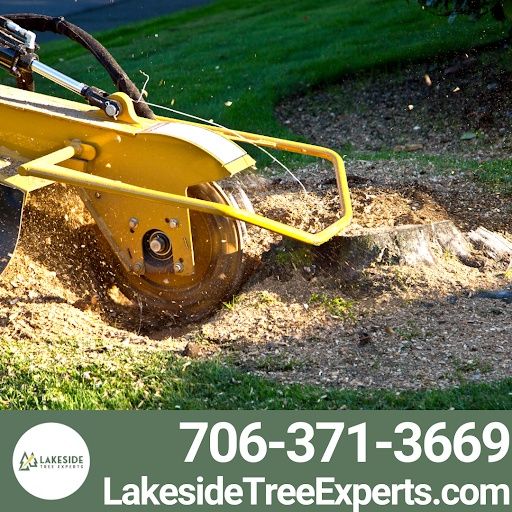 Tree Removal