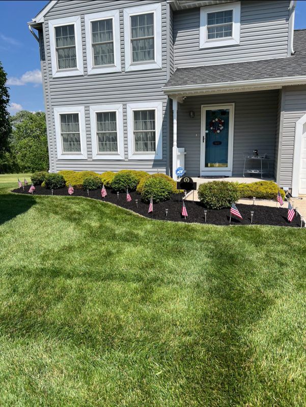 Lawn Maintenance