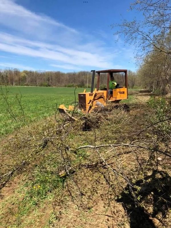 Fence Row Clearing