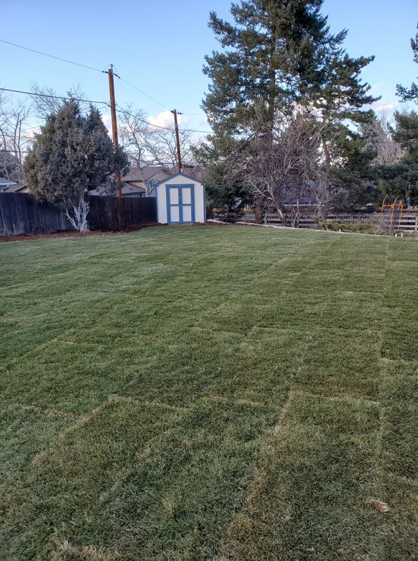 Landscaping