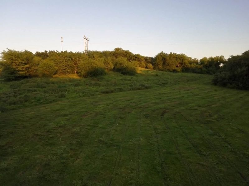 Land Clearing