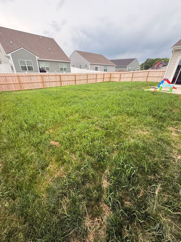 Lawn Seeding & Over-seeding