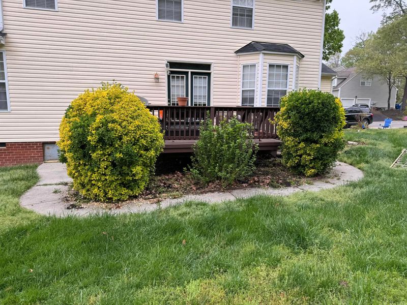 Shrub Trimming