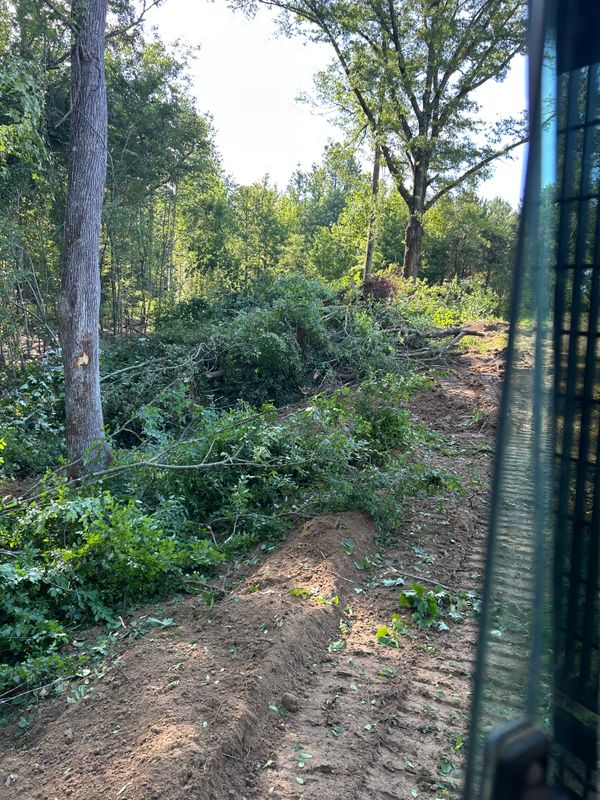 Land Clearing