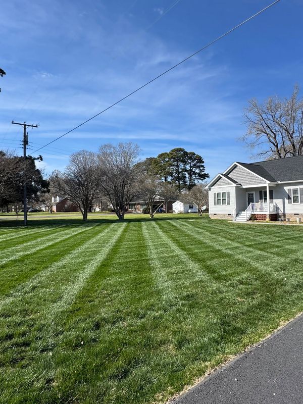 Landscape Design