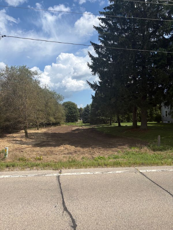 Land Clearing