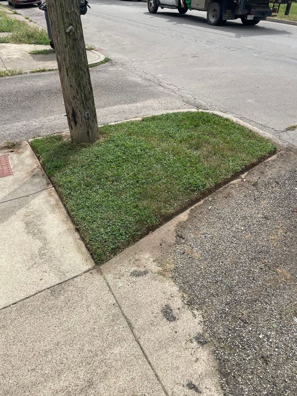 Lawn Maintenance