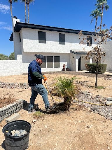 Commercial Tree Planting