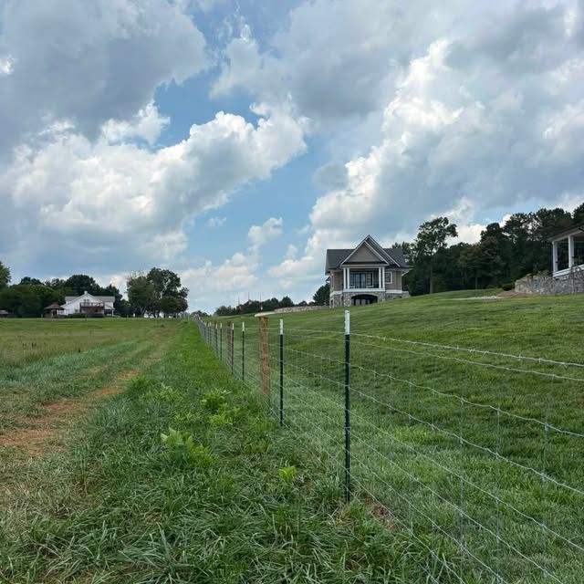 Privacy Fence