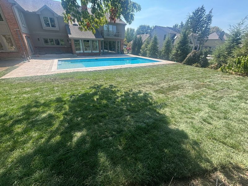 Sod Installation