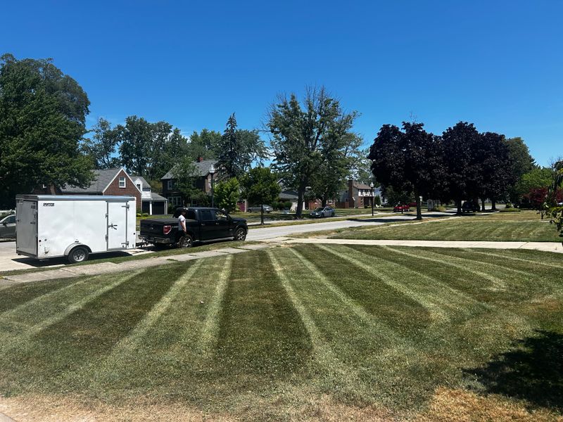 Lawn Maintenance