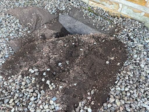 Stump Removal
