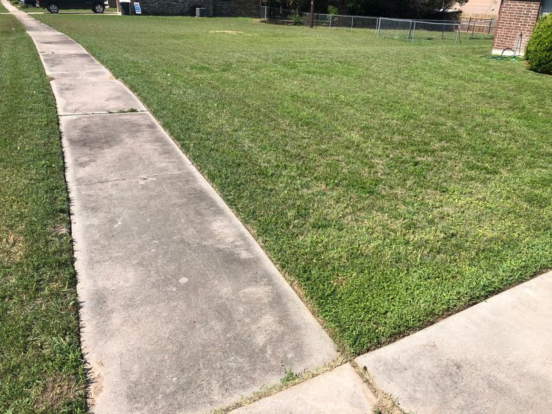 Lawncare