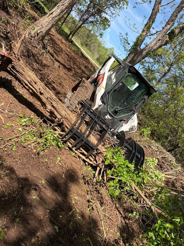 Tree Removal