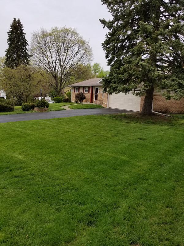 Lawn Care