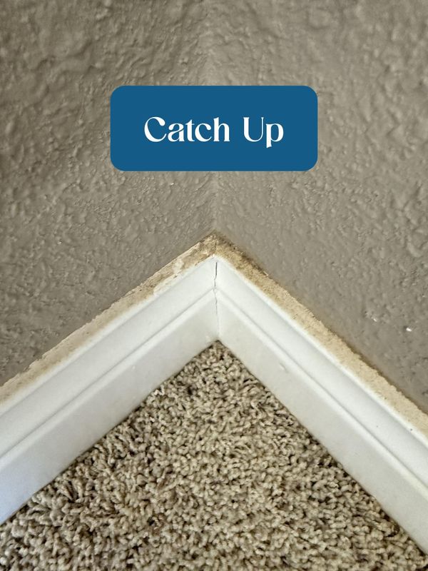 Top to Bottom Deep Clean
