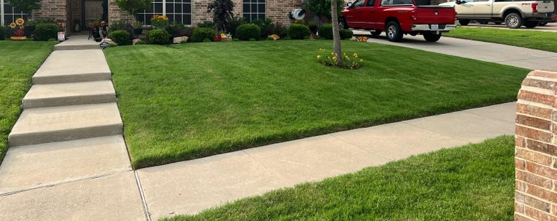 Garden Design