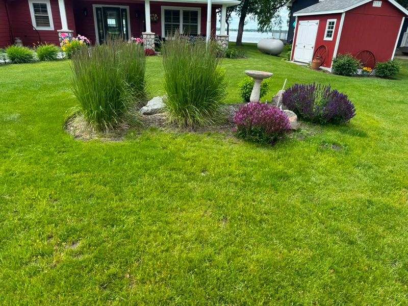 Landscape Design & Installation