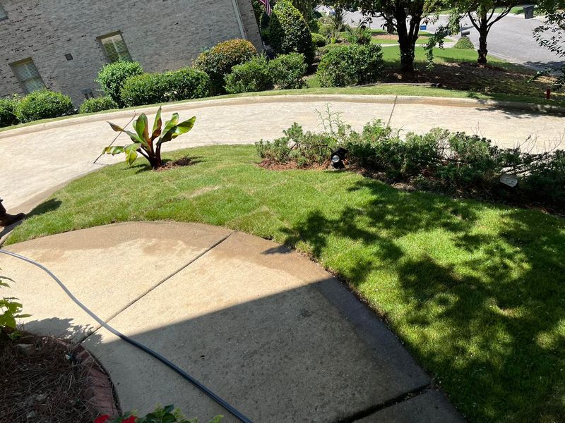 Landscape Design