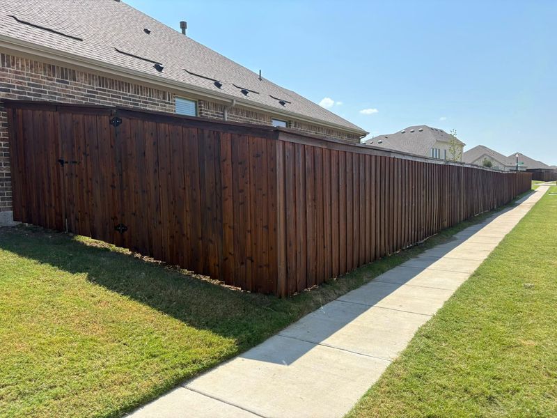 Fence Staining