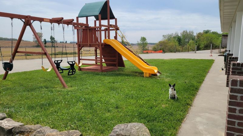 Commercial and residential mowing