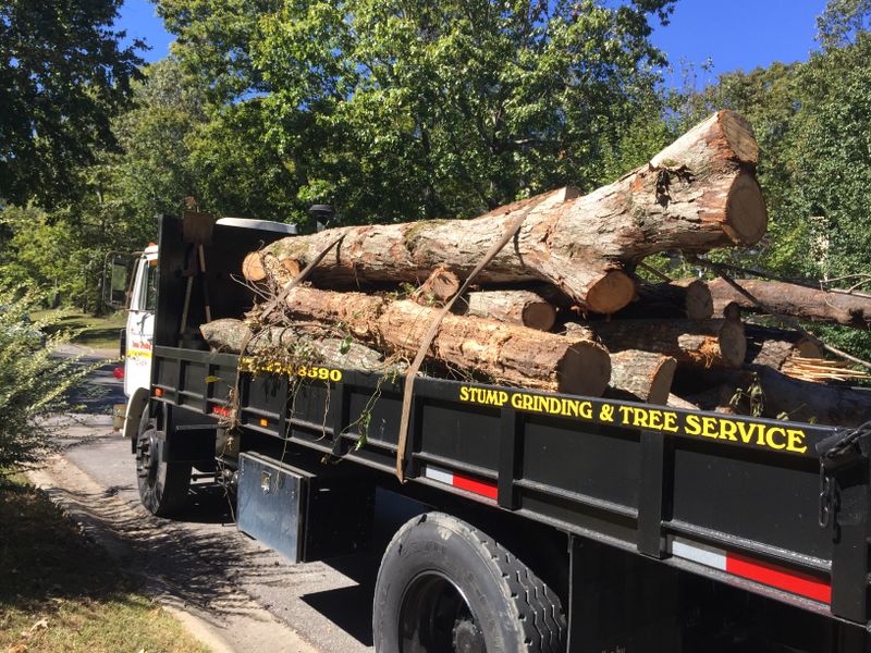 Stump Removal