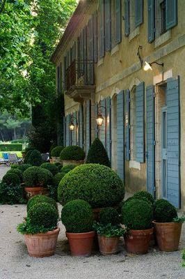 Lawn Maintenance