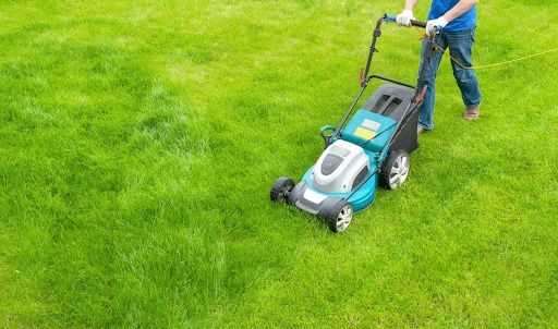 Lawn Care