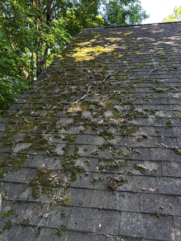 Roof Cleaning