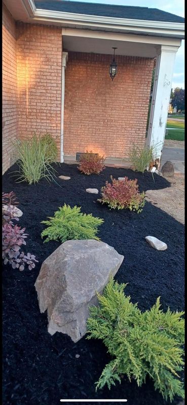 Shrub & Plant Installation Photos