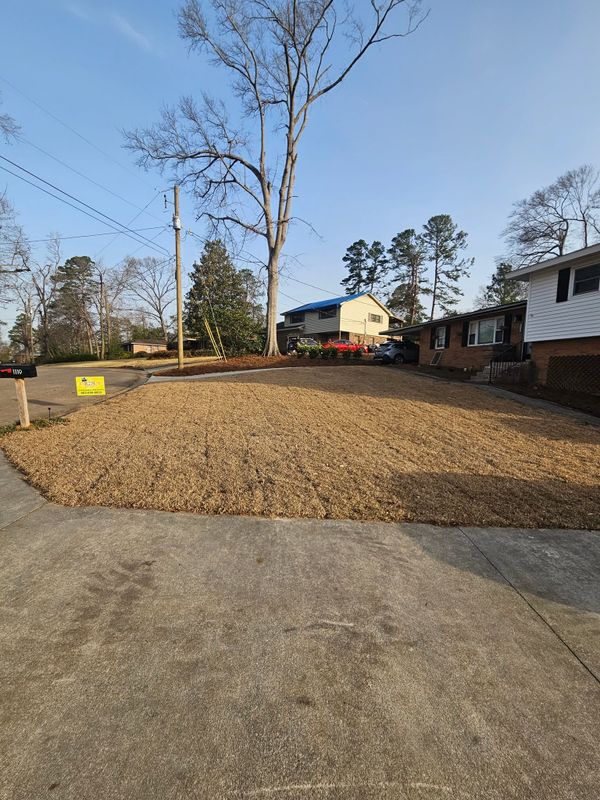 Landscaping