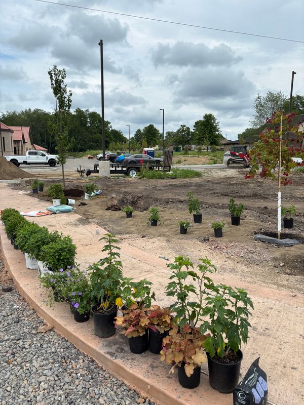 Landscaping