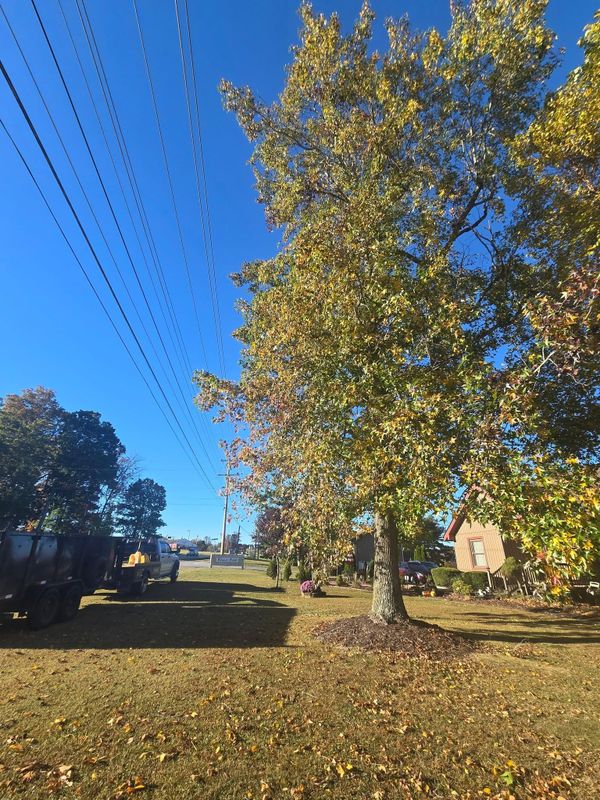 24/7 storm cleanup