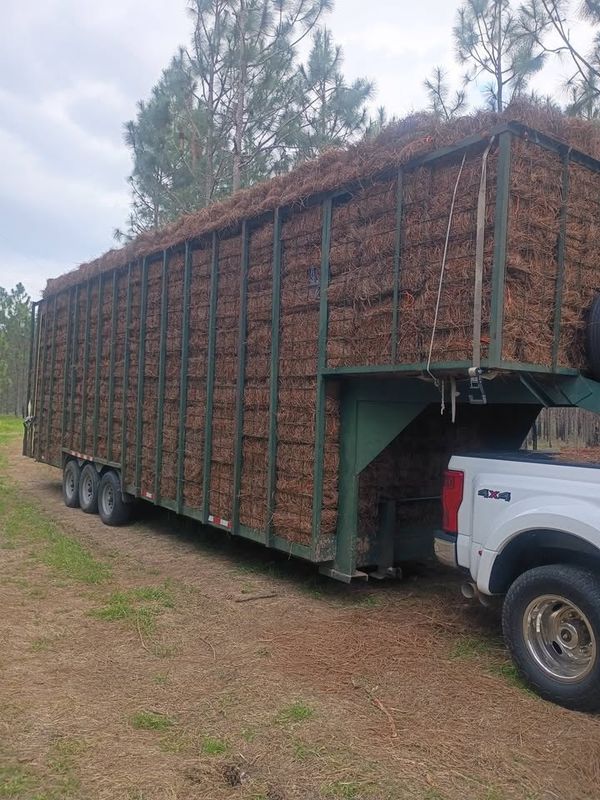Pinestraw Installation