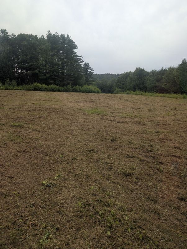 Brush Mowing And Forestry Mulching