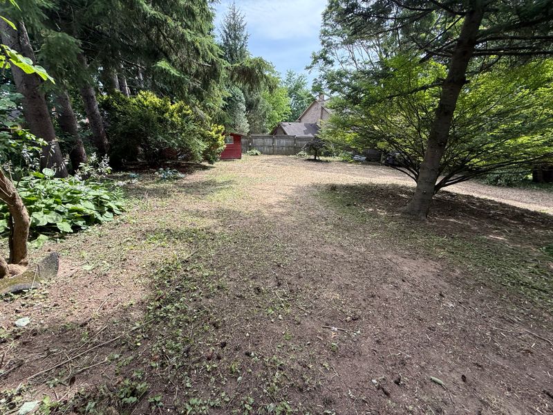 Tree, Hedge & Shrub Trimming