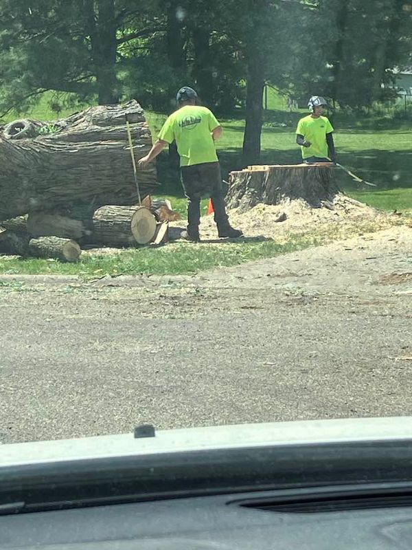 Tree Removal