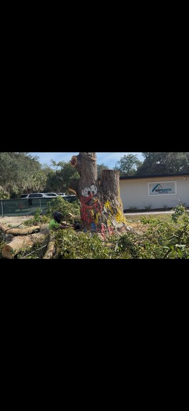 Land Clearing