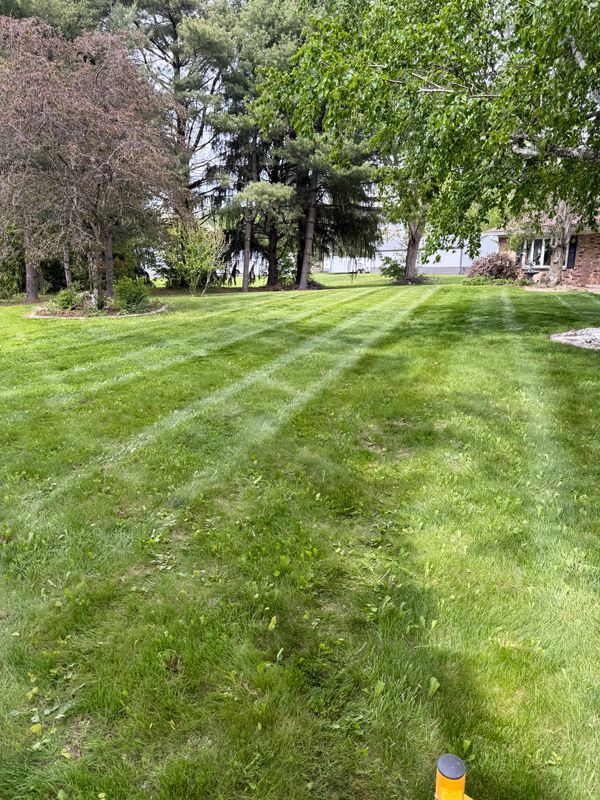 Lawn Care and Maintenance