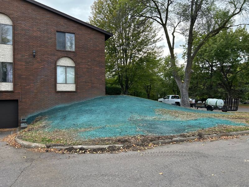 Hydroseeding