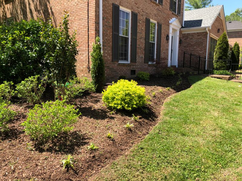 Mulch Installation